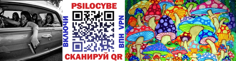 Галлюциногенные грибы Cubensis  Купить где  Звенигово 